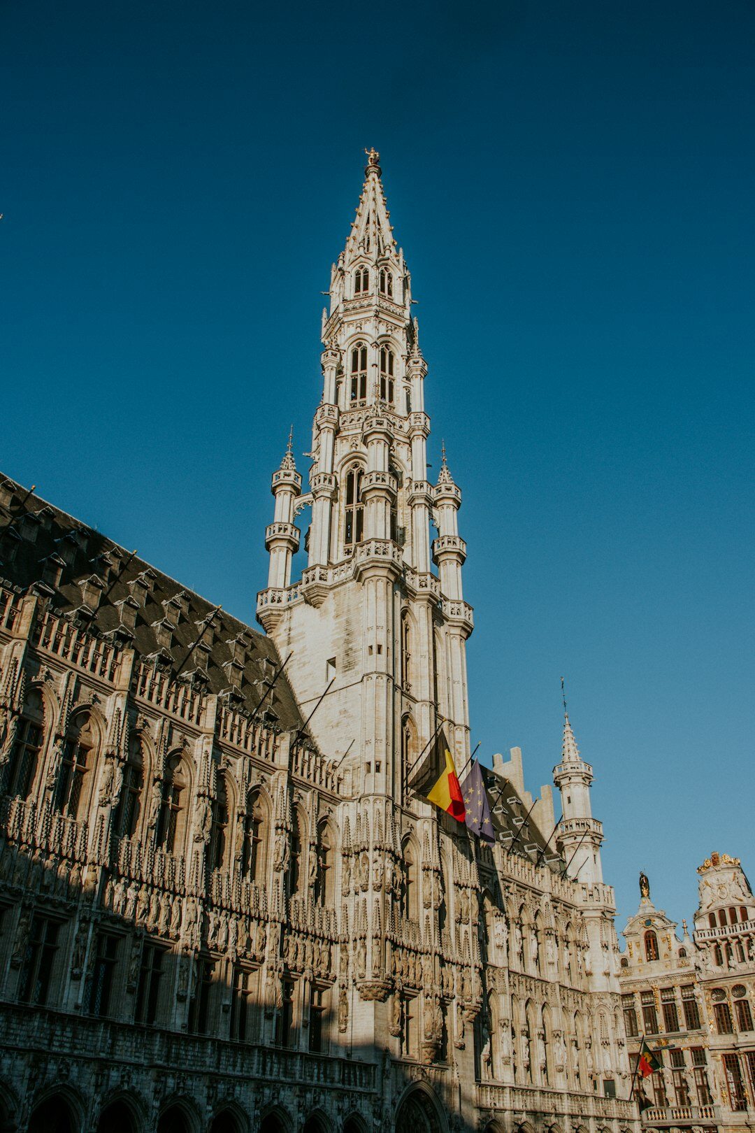Belgian business leader speaking confidently
